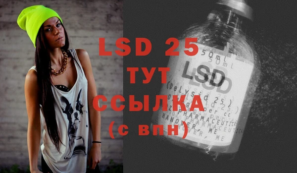 ГАЛЛЮЦИНОГЕННЫЕ ГРИБЫ Лагань