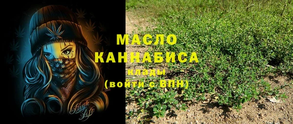 ГАЛЛЮЦИНОГЕННЫЕ ГРИБЫ Лагань