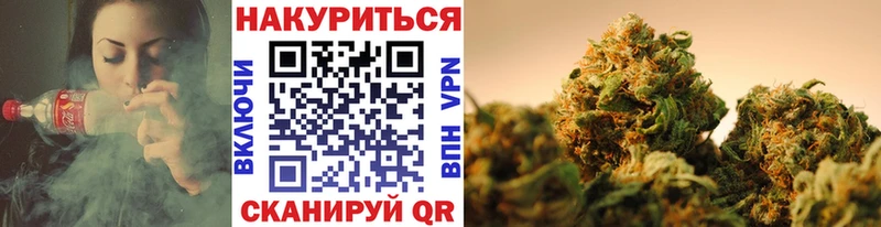 Купить  Курчалой  Конопля THC 21% 